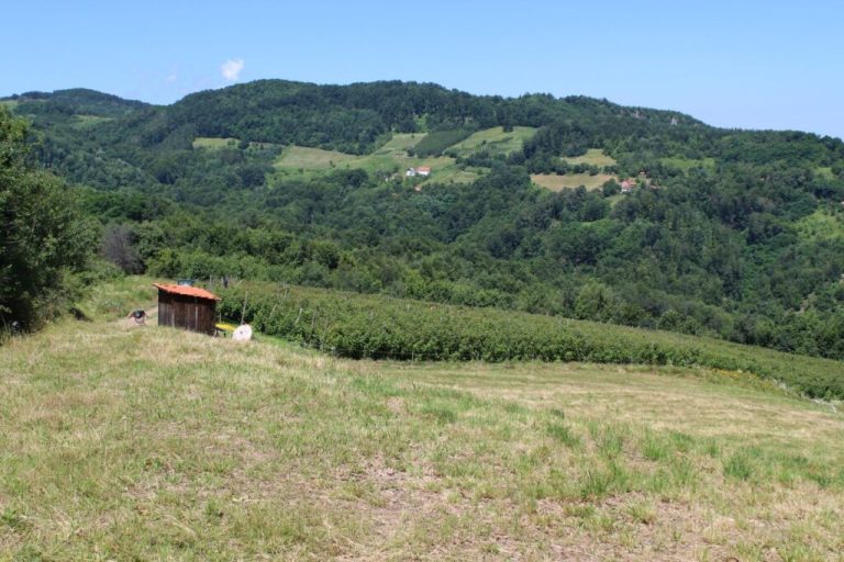 Крупањ-место са најдужом пијацом на свету