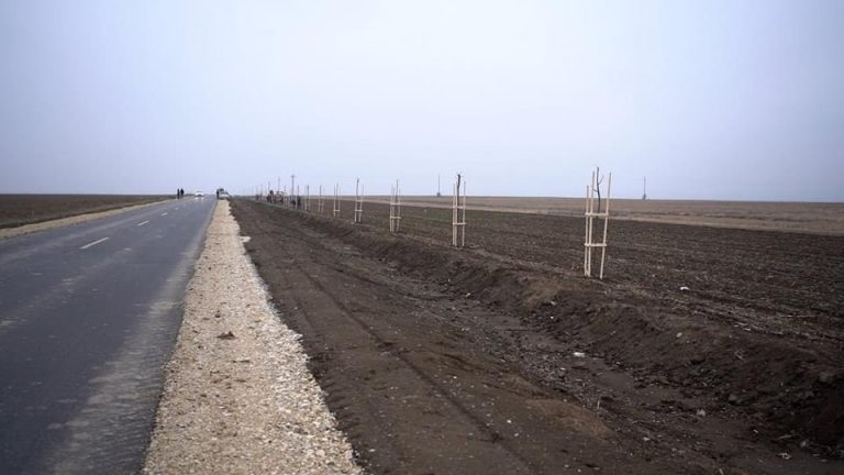 И ове године помоћ за суботичке пољопривреднике