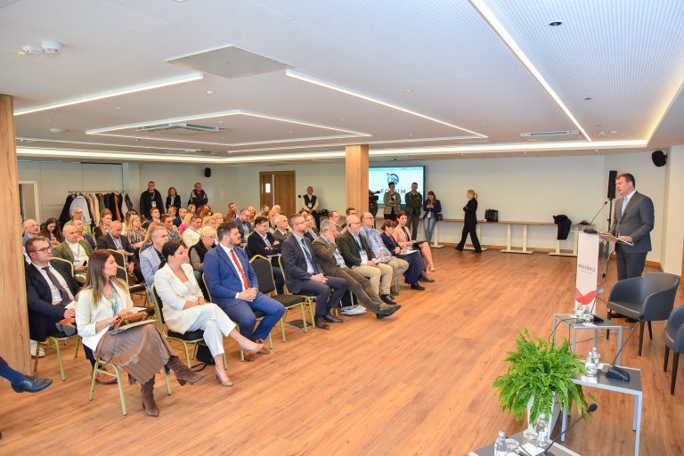 Мировић: Заједничким радом до смањења регионалних разлика