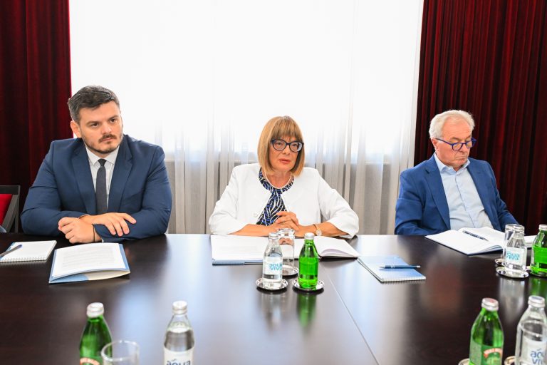 Састанак Маје Гојковић са председницима општина Беочин, Бечеј и Србобаран