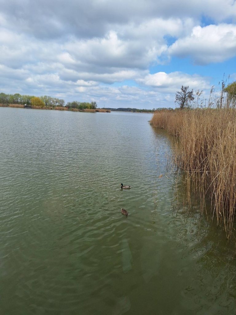 Пролећно чишћење