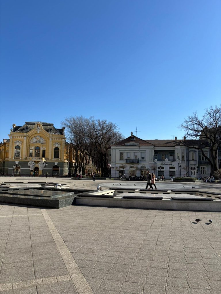 Дежурства јавних служби за време празника