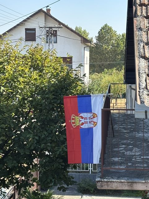ДАН СРПСКОГ ЈЕДИНСТВА, СЛОБОДЕ И НАЦИОНАЛНЕ ЗАСТАВЕ